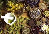 تولید انبوه "داروی درمان کبد چرب و لاغری" توسط بخش خصوصی