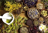 برگزاری ششمین همایش گیاهان دارویی در تربت‌ حیدریه