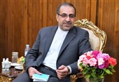 ورود زبان فارسی به مدارس هند در انتظار اعزام استاد از ایران/ باید برای علاقمندی هندی‌ها به فرهنگ ایران پاسخگو باشیم