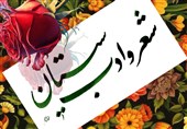 نشست ادبی « شعر و ادب سیستان» برگزار شد