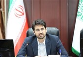 گلایه سازمان مالیاتی ازمعافیت قانونی ومالیات صفرشرکتهای بزرگ