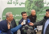 سلاجقه: "درخت‌داری" مهم‌تر از "درخت‌کاری" است