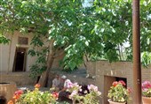 داستان بازگشت به زادگاه مادری از جاده "ایران زیبا"