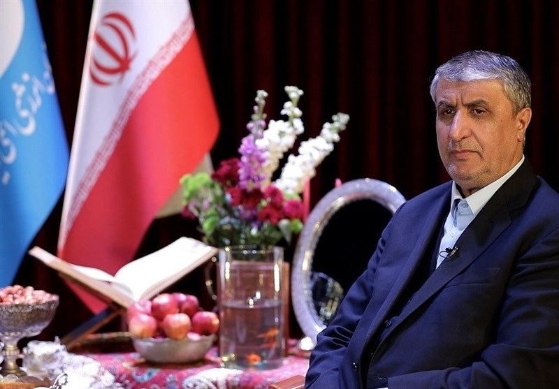 Iranian Nuclear Plant’s Annual Power Output Hits Record High