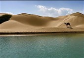 پیشنهادهای جذاب مستندسازان برای ایرانگردی در نوروز +عکس