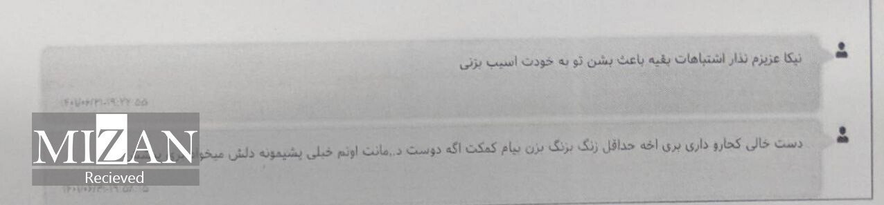نیکا شاکرمی , 