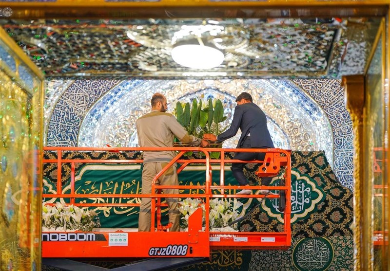 امام علی (ع) , امام رضا (ع) , شهر نجف اشرف , 