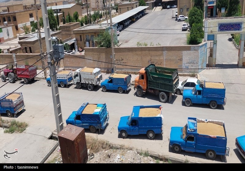 کشاورزی , 