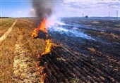 تشکیل 70 پرونده قضایی برای سوزاندن کاه‌وکلش مزارع در خرم‌آباد