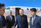 باقری: در ادامه دیپلماسی فعال در نشست دی هشت شرکت می‌کنیم