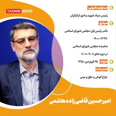 برخی سوابق قاضی‌زاده هاشمی کاندیدای انتخابات ریاست جمهوری
