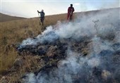 آتش‌سوزی در بیش از 300 هکتار مراتع شهرستان جم مهار شد