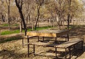 همه محلات تهران تا پایان سال صاحب بوستان می‌شوند