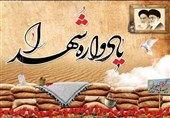 یادواره شهدای سلامت فارس برگزار شد