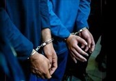دستگیری 4 نفر از اراذل و اوباش در نسیم‌شهر