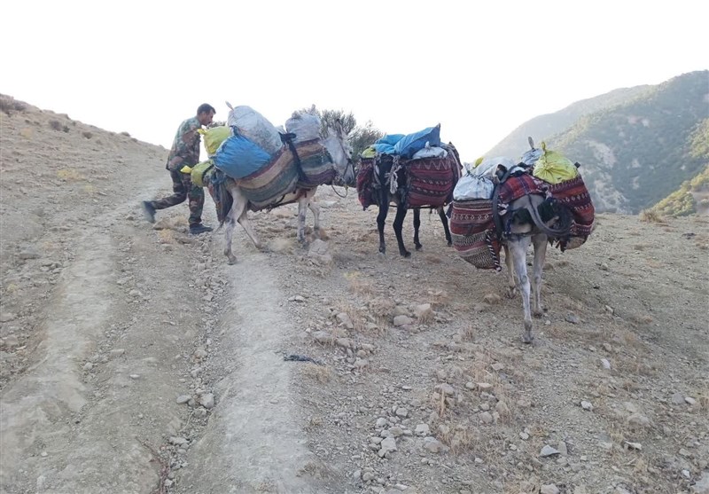 سازمان منابع طبیعی ,