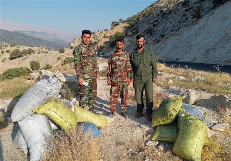 سازمان منابع طبیعی ,