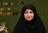 واکنش رییس سازمان حفاظت محیط زیست به تخریب "جنگل الیمالات"