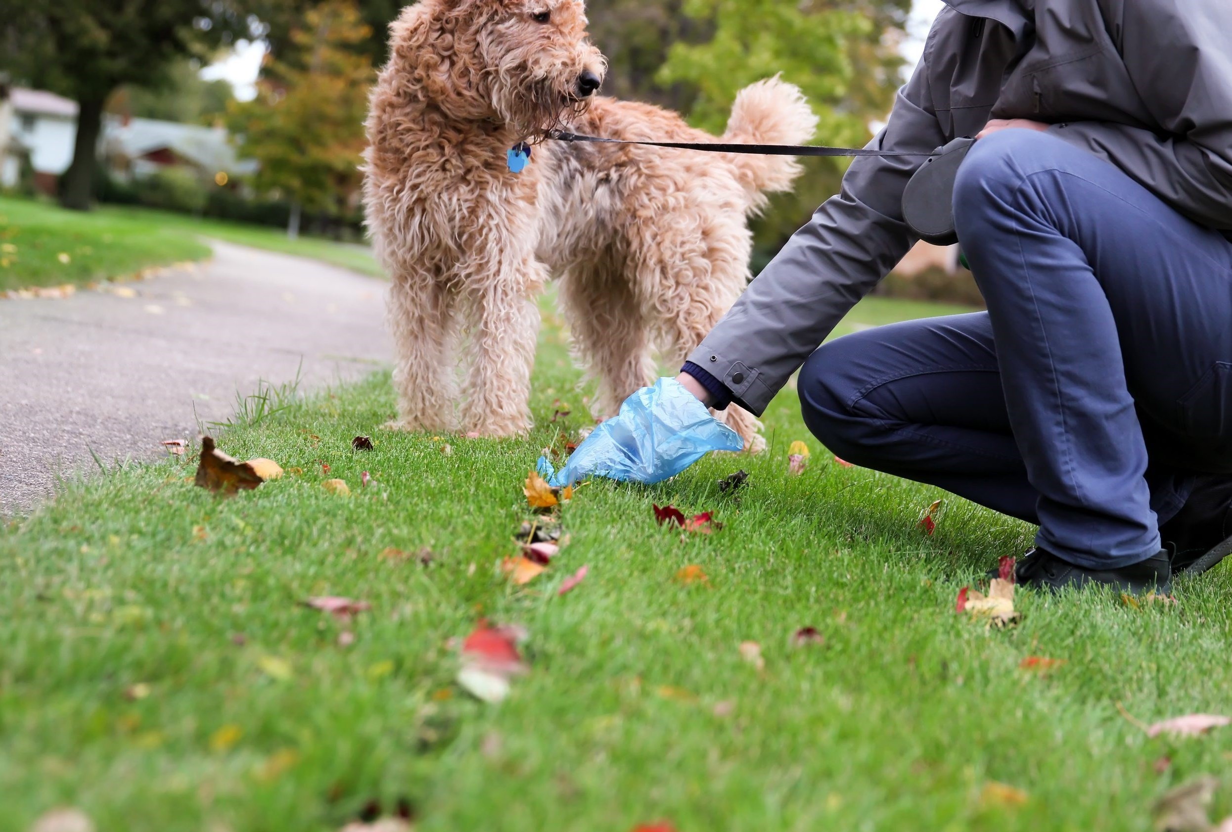 وزارت بهداشت , بهداشت و درمان , شهرداری تهران ,