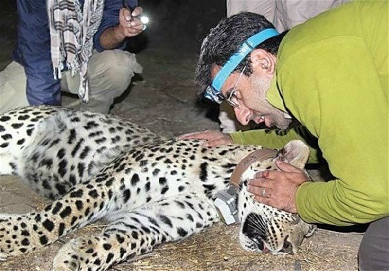 مستند , سینما , سینمای مستند ,