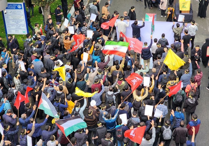دانشگاه صنعتی شریف , سید حسن نصرالله , دانشگاه های جمهوری اسلامی ایران ,