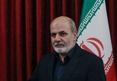 احمدیان: امنیت خلیج فارس مستلزم مشارکت کشورهای منطقه است
