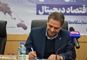 سرمایه‌گذاری 5 میلیارد دلاری ایران در پروژه ملی فیبر نوری
