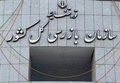 هشدار سازمان بازرسی به 8 بانک برای ضعف پرداخت وام ازدواج و فرزندآوری