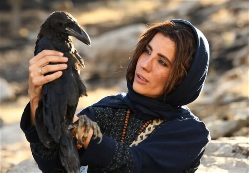 جشنواره فیلم فجر , سینمای ایران , سینما , فیلم , چهل و سومین جشنواره فیلم فجر , 