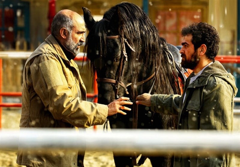 جشنواره فیلم فجر , سینمای ایران , سینما , فیلم , چهل و سومین جشنواره فیلم فجر , 