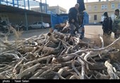 محموله قاچاق تاغ در تور مأموران انتظامی شاهرود گرفتار شد