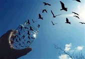 "دانش‌آموزان بیان رفیع" در پویش هفت‌سین خورشید شرکت کردند