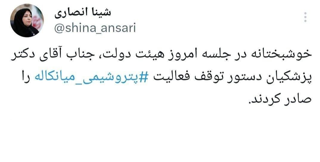 پتروشیمی میانکاله , شینا انصاری , 