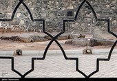 صلح امام حسن (ع) با معاویه؛ حکمت یک تصمیم تاریخی