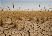 کاهش 90 درصدی جریان رودخانه‌های یزد؛ بارندگی 25 درصد کمتر از میانگین