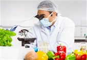 معدوم‌سازی 1100کیلوگرم مواد غذایی و اقلام بهداشتی غیرقابل مصرف درکاشان
