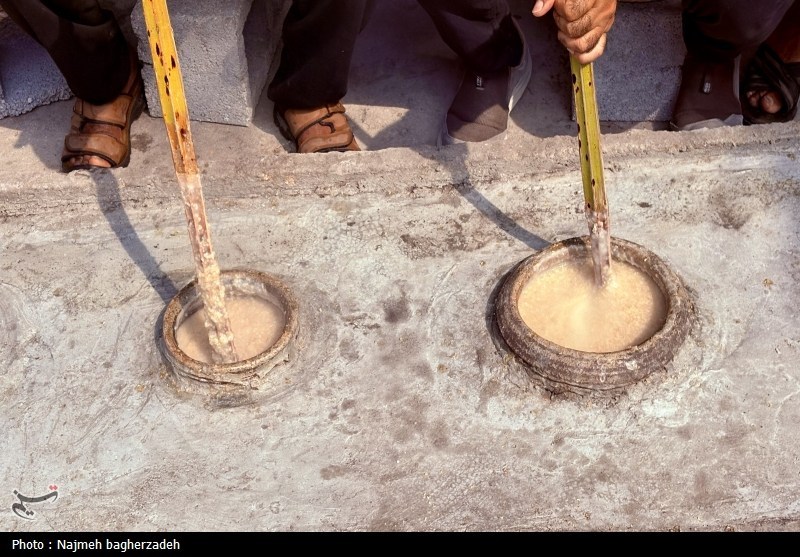 موکب تسنیم , 
