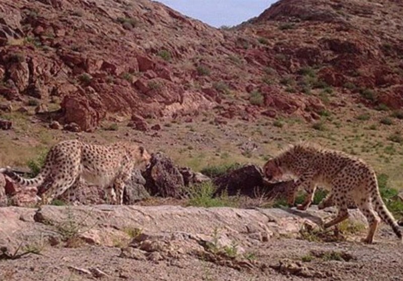 نظام مسائل استان سمنان , 