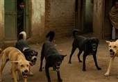 زخم تازه بر پیکر شهر سنندج؛ پنجمین کودک قربانی بی‌عملی متولیان شد!