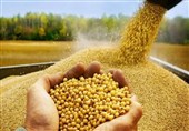 راه‌اندازی ایزوله سویا با هدف جلوگیری از خروج ارز