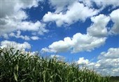 هوای کردستان از فردا خنک می‌شود/گرد و خاک در راه است