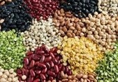 113 درصد اختلاف قیمت لوبیا در بازار با وجود تخصیص ارز مبادله‌ای