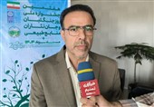 تحقق 75 درصدی تعهدات استان بوشهر در «طرح کاشت یک میلیارد درخت»