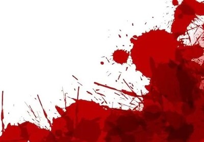 ماجرای پرونده قتل خواهر و برادر دیواندره‌ای چه بود؟