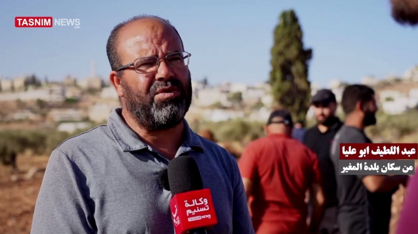 فلسطين , الكيان الصهيوني , الضفة الغربية , أشجار الزيتون ,