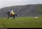 طبیعت سد لفور