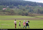 طبیعت سد لفور