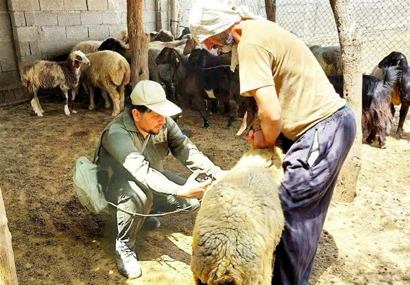 اخبار استان خراسان جنوبی , خبرگزاری تسنیم ,