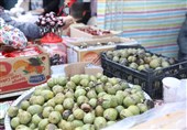 چهارمین جشنواره ملی گردو در کلور برگزار شد