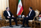 عراقجی یؤکد أهمیة دور منظمة التعاون الإسلامی فی ترسیخ التعاون تجاه القضیة الفلسطینیة